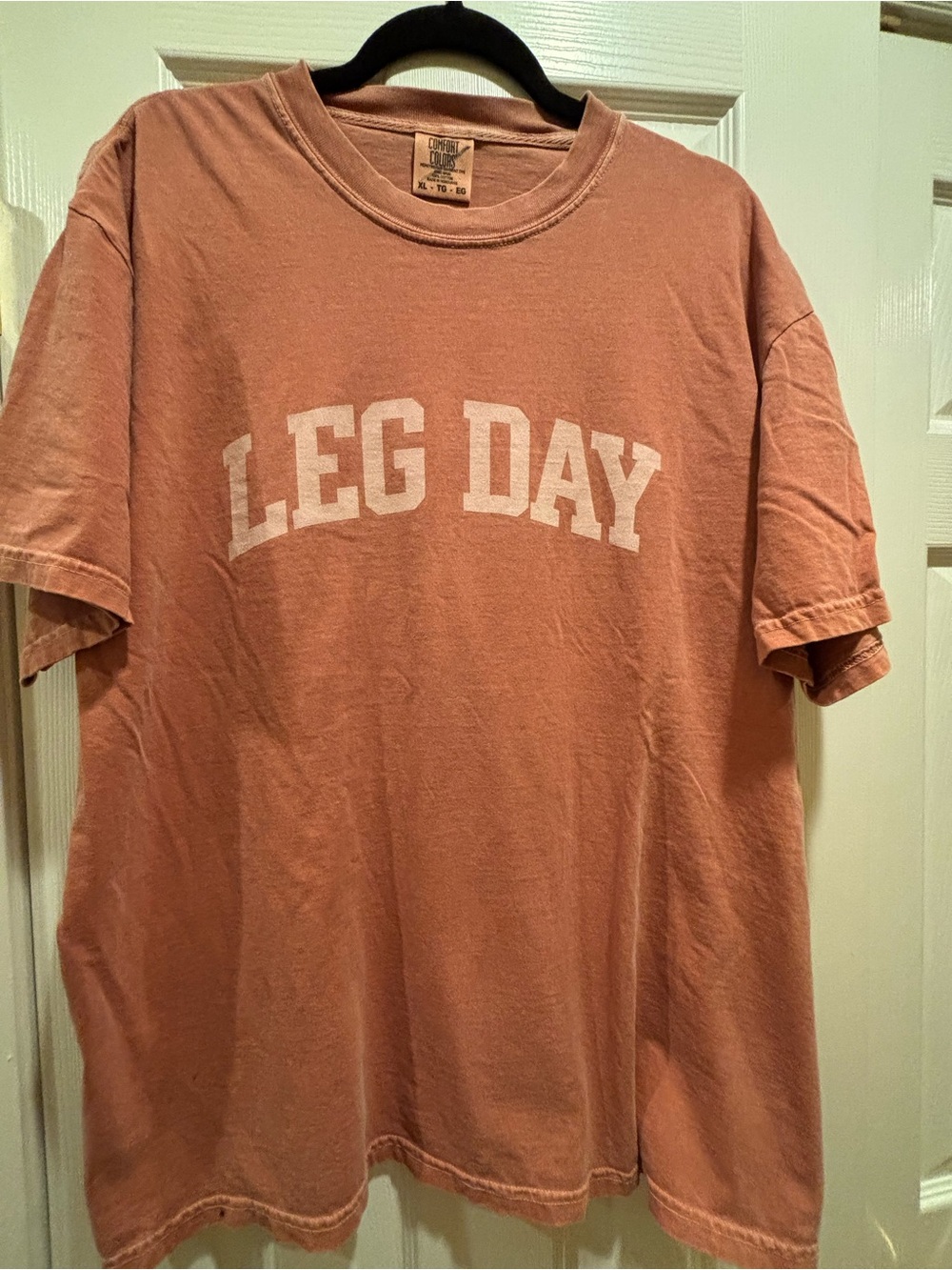 Comfort Colors 'Leg Day' Short-Sleeve Tee in Dusty Rose